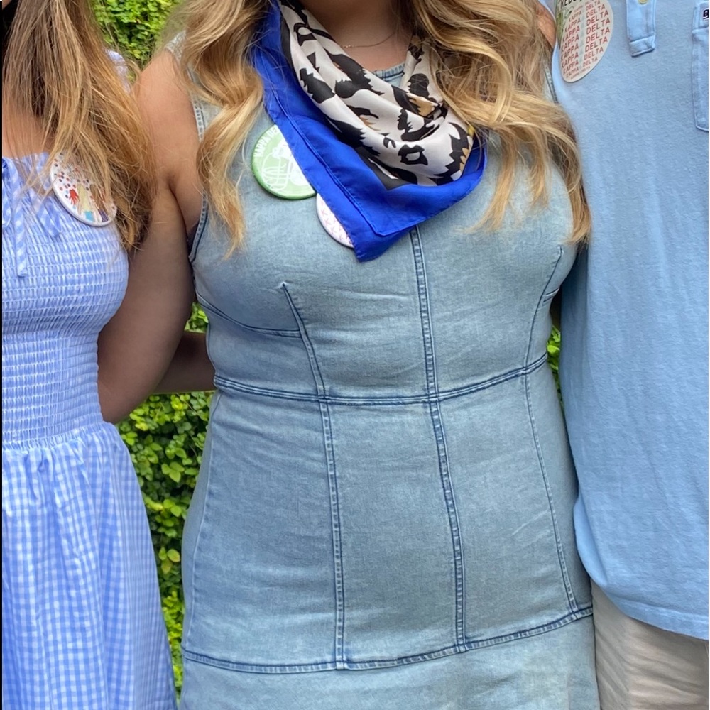 Free people denim dress